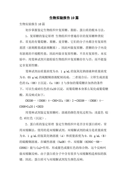 生物实验报告10篇
