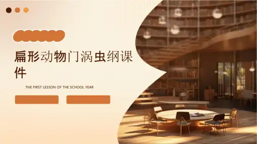 扁形动物门涡虫纲课件