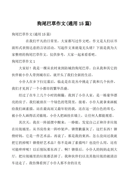 狗尾巴草作文(通用15篇)