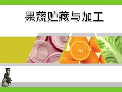 第六章果蔬干制