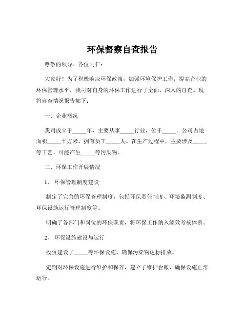 环保督察自查报告