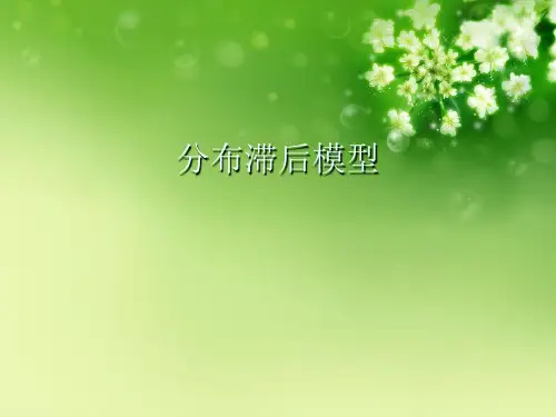 分布滞后模型 