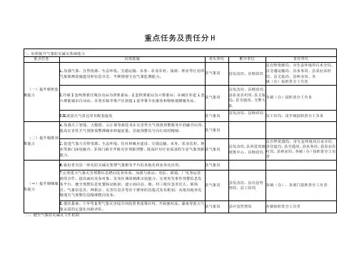 重点任务及责任分工