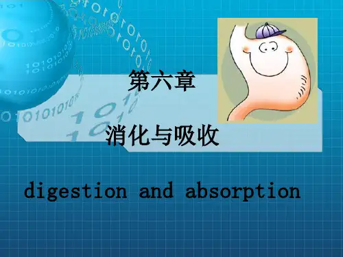 《生理学第六章消化》PPT课件