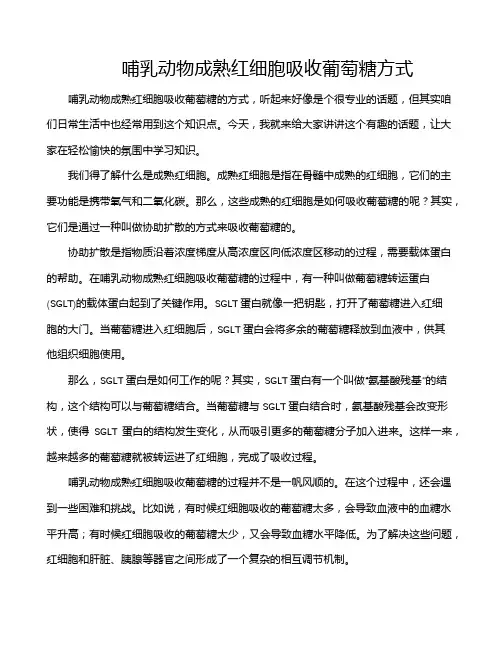 哺乳动物成熟红细胞吸收葡萄糖方式