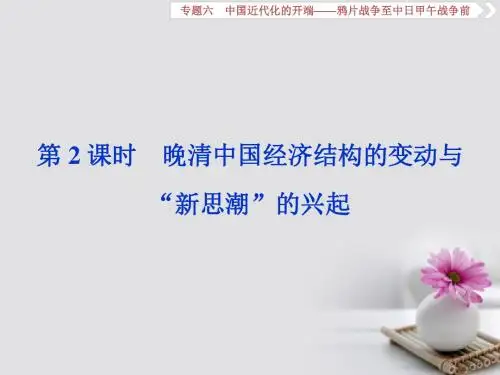 2019届高考历史总复习专题六中国近代化的开端第2课时晚清中国经济结构的变动与“新思潮”的兴起课件