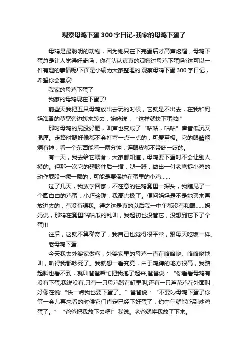 观察母鸡下蛋300字日记-我家的母鸡下蛋了