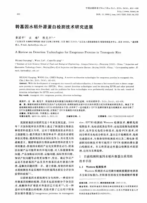 转基因水稻外源蛋白检测技术研究进展