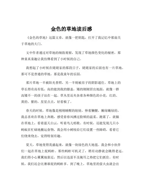 金色的草地读后感