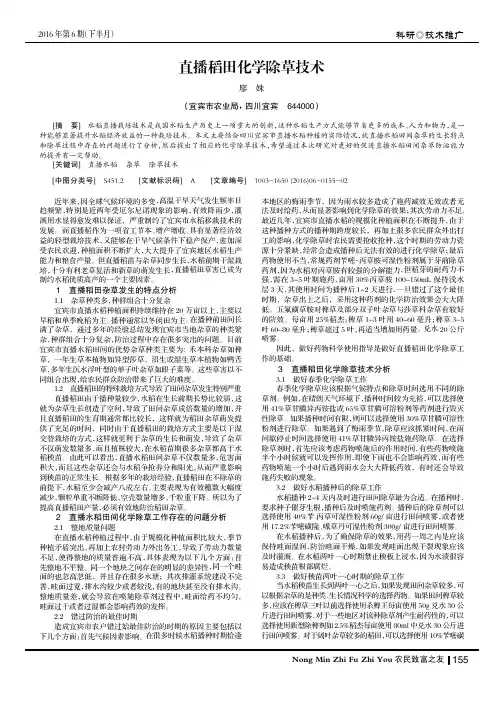 直播稻田化学除草技术