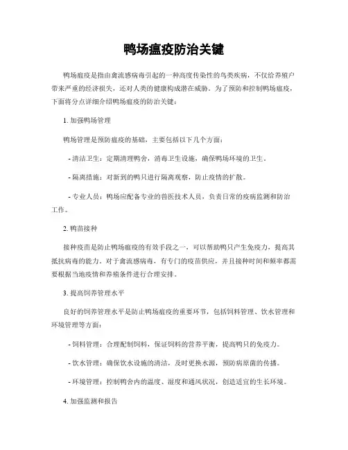 鸭场瘟疫防治关键