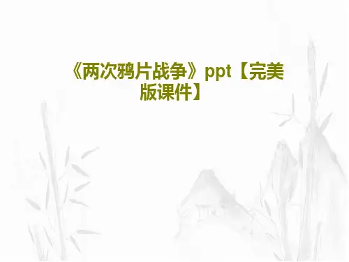 《两次鸦片战争》ppt【完美版课件】共35页