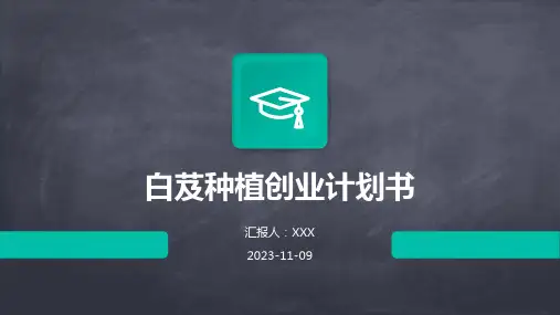 白芨种植创业计划书