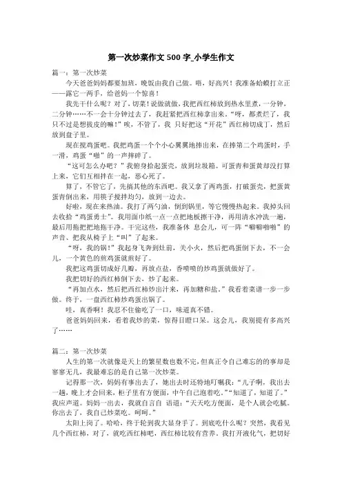第一次炒菜作文500字_小学生作文