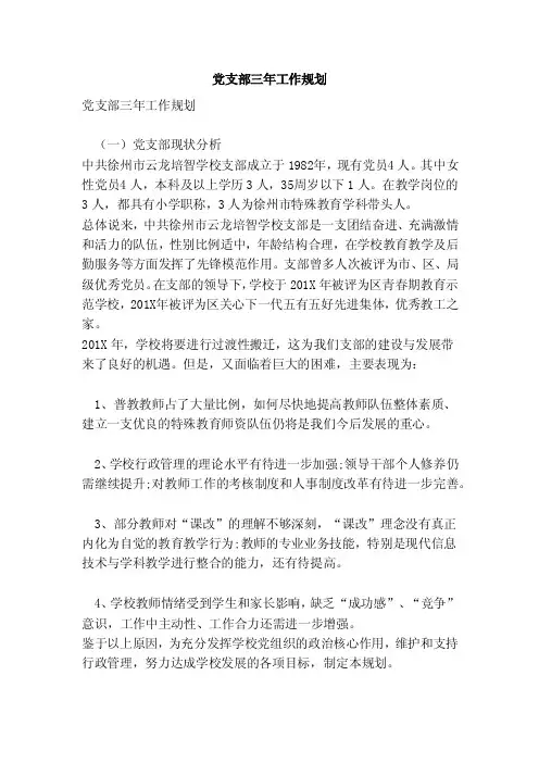 党支部三年工作规划（范本）
