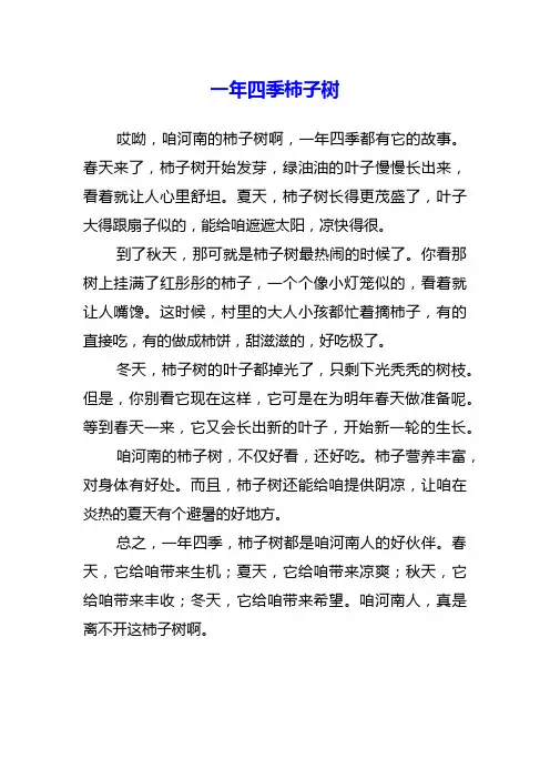 一年四季柿子树作文