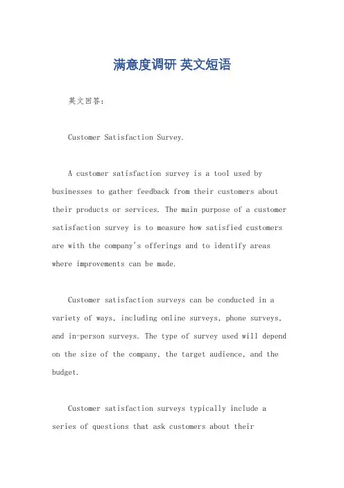 满意度调研 英文短语