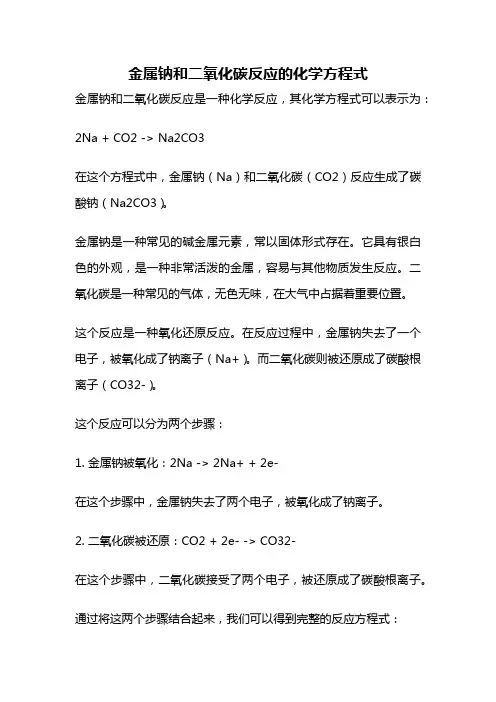 金属钠和二氧化碳反应的化学方程式