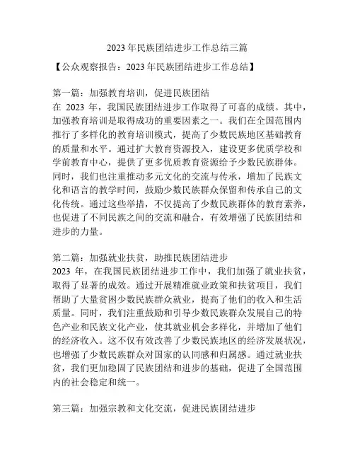 2023年民族团结进步工作总结三篇