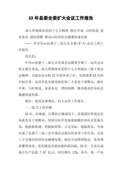 XX年县委全委扩大会议工作报告