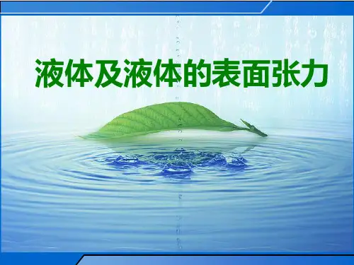 2.5液体表面张力(上课用)