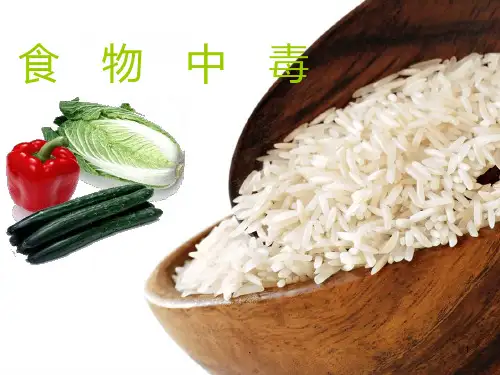 《食物中毒》PPT课件
