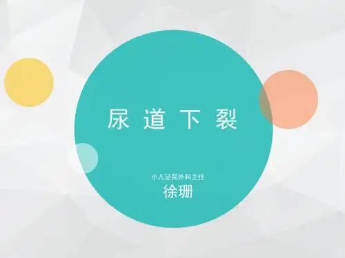徐珊主任详解小儿尿道下裂共18页