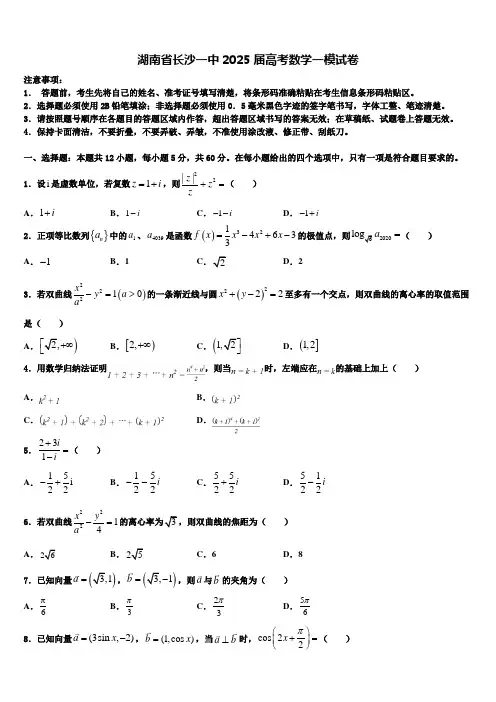 湖南省长沙一中2025届高考数学一模试卷含解析