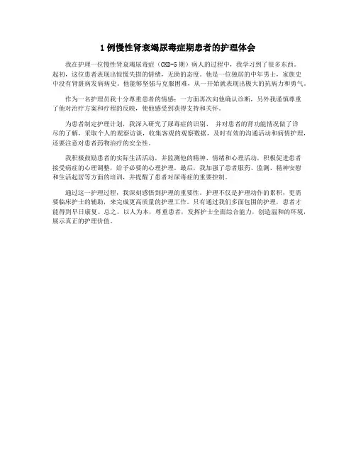 1例慢性肾衰竭尿毒症期患者的护理体会