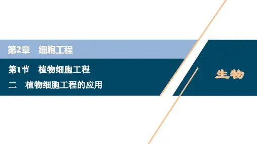 高中生物新人教版选择性必修3植物细胞工程的应用(34张)课件