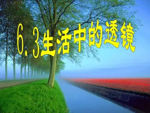 6.3生活中的透镜--PPT