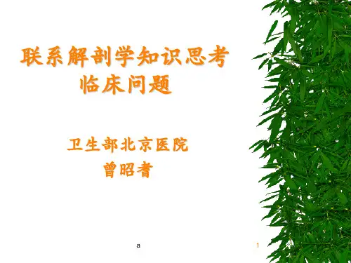 临床解剖学基础PPT课件