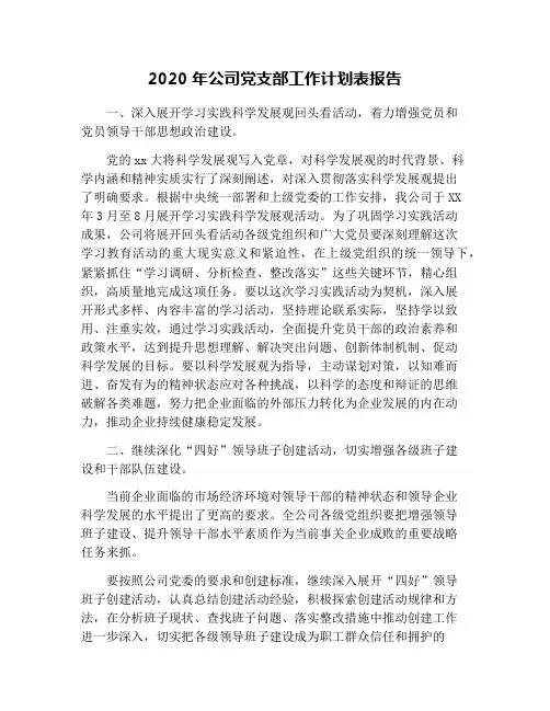 2020年公司党支部工作计划表报告