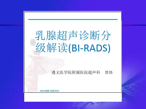 乳腺超声分级解读ppt课件