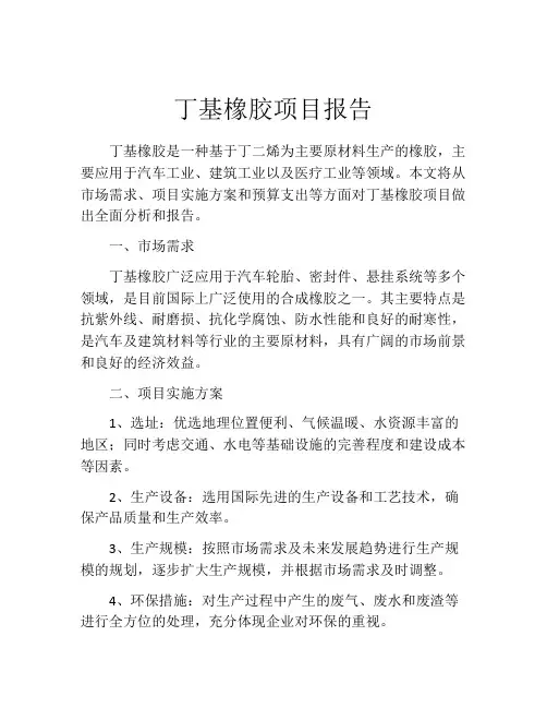 丁基橡胶项目报告