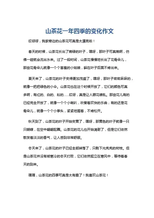 山茶花一年四季的变化作文