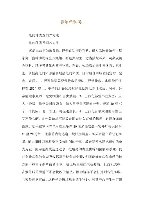 养殖龟种类--龟的种类及饲养方法