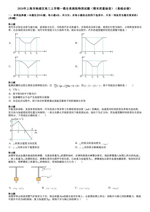 2024年上海市杨浦区高三上学期一模全真演练物理试题(期末质量抽查)(基础必刷)