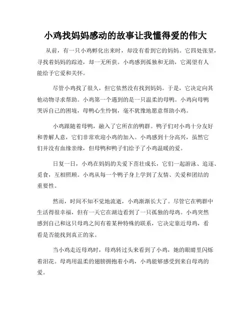 小鸡找妈妈感动的故事让我懂得爱的伟大