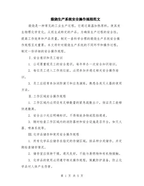 煅烧生产系统安全操作规程范文（二篇）