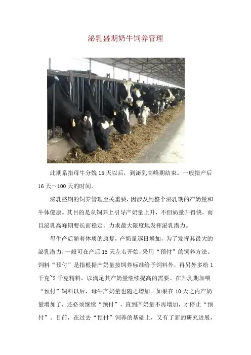 泌乳盛期奶牛饲养管理