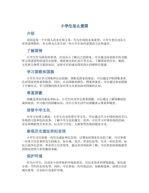 小学生怎么爱国