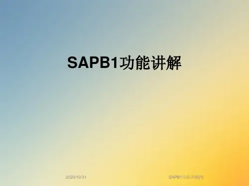 SAPB1功能讲解[1]