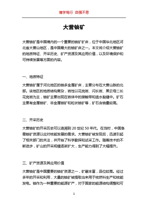 大营铀矿_精品文档