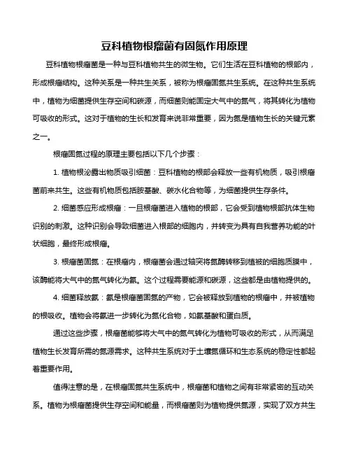 豆科植物根瘤菌有固氮作用原理