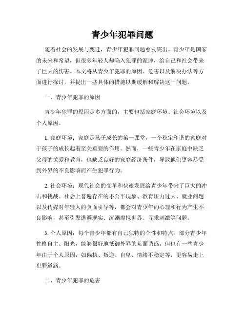 青少年犯罪问题