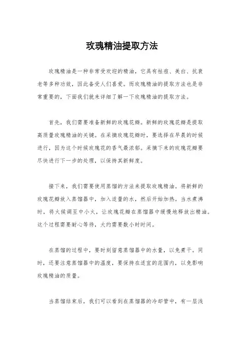 玫瑰精油提取方法
