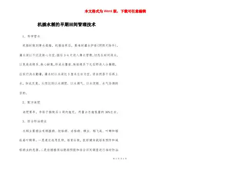 机插水稻的早期田间管理技术