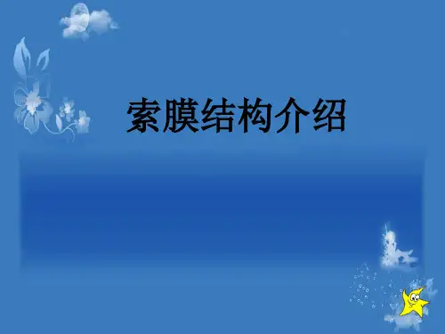 索膜结构介绍