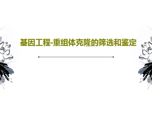 基因工程-重组体克隆的筛选和鉴定PPT文档共86页